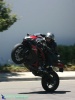 GSXR-1000 - Wheelie (I)